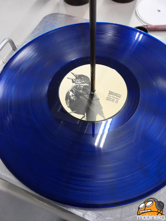 Pre Order: Trip Meadow LP (Blue/Black Marble Variant)