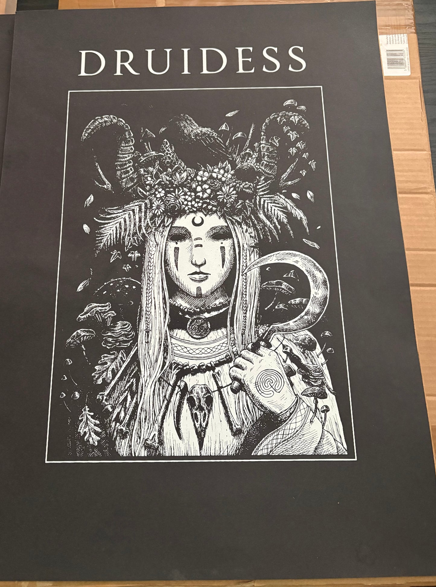 ‘The Druidess’ Poster